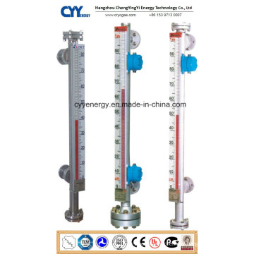 Cyybm67 Magnetic Level Meter with High Quality Competitive Price